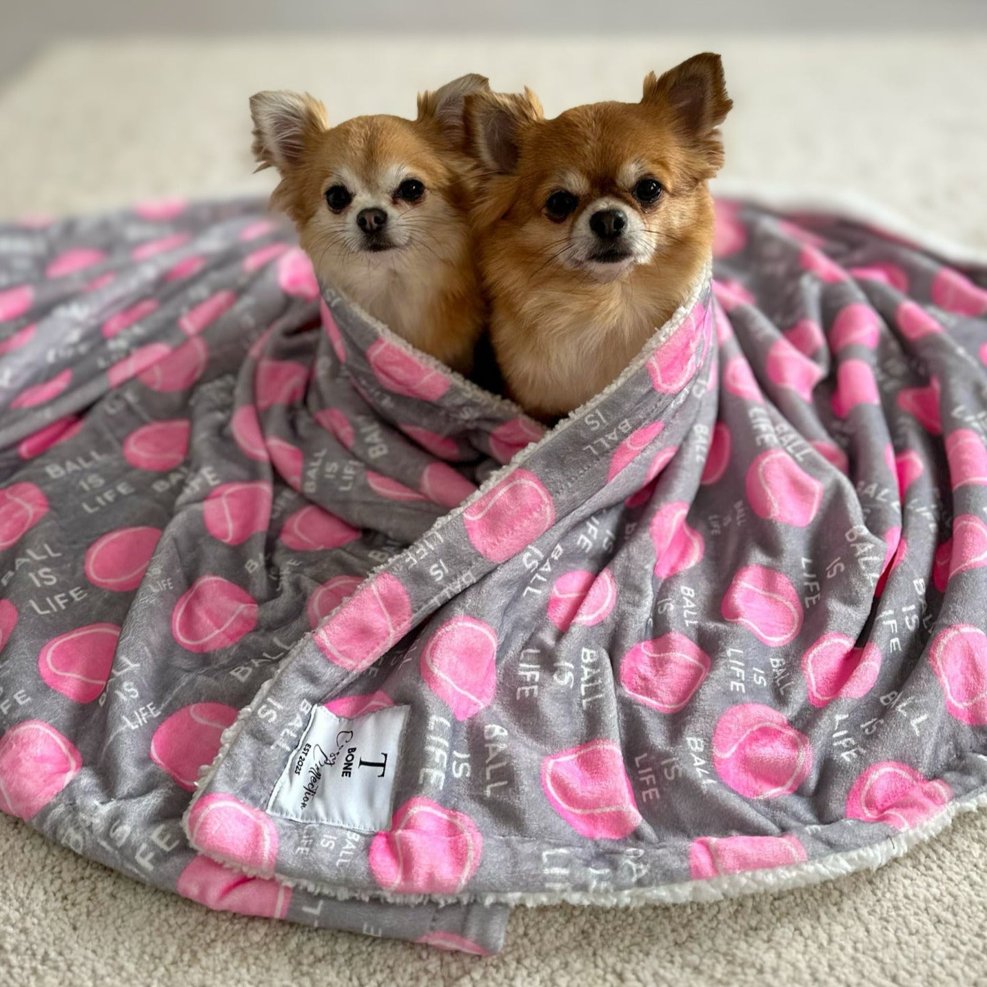 Tommy Girl Blanket