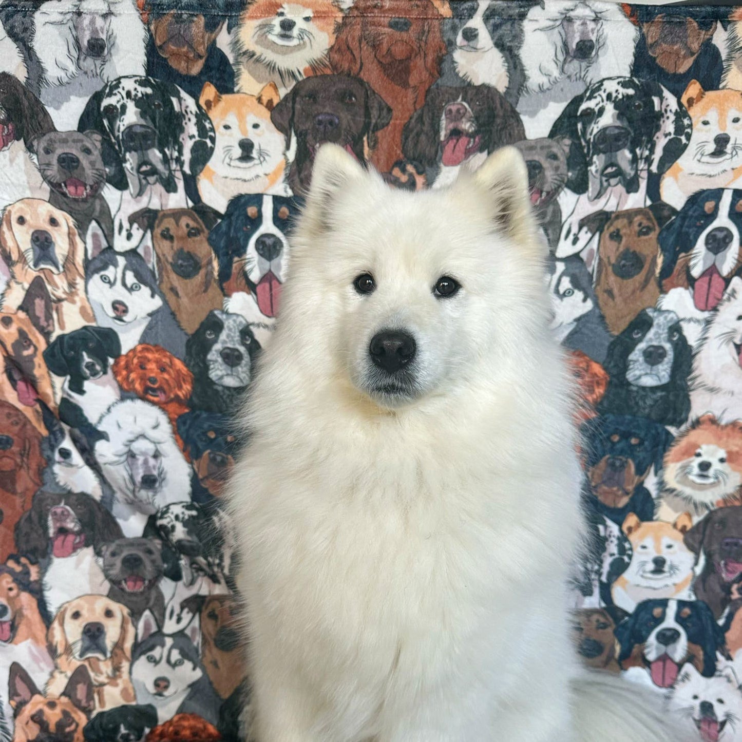 Part of the Pack Blanket