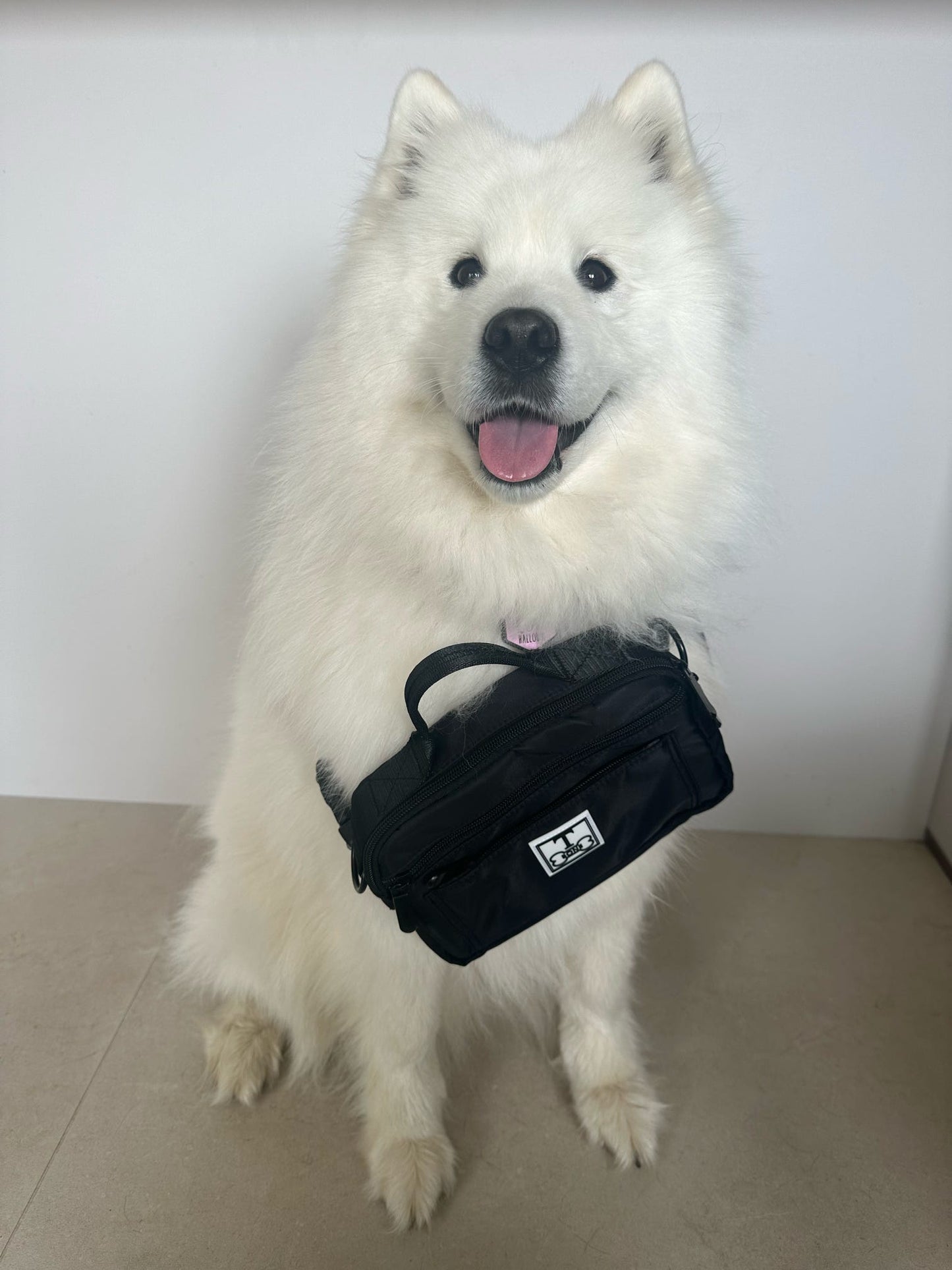 Dog Walking Bum Bag