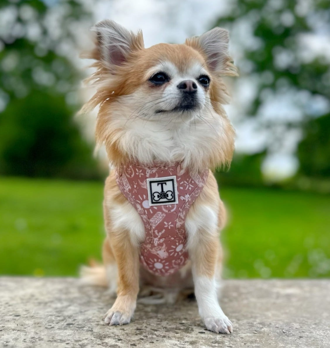 Country Couture Adjustable Harness