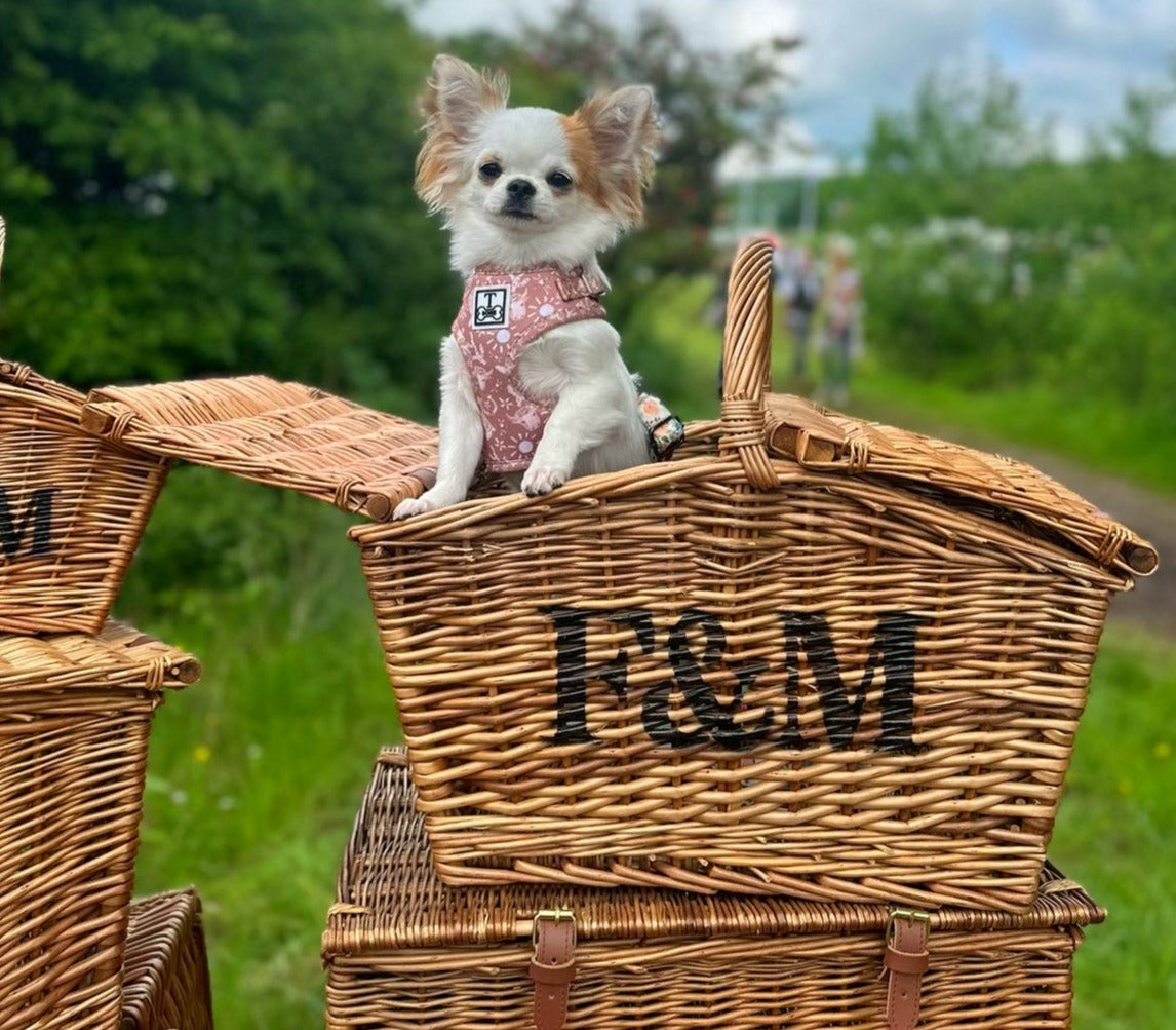 Country Couture Adjustable Harness