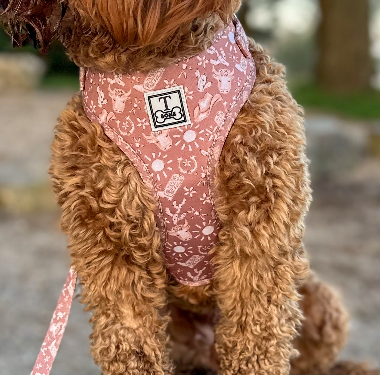 Country Couture Adjustable Harness