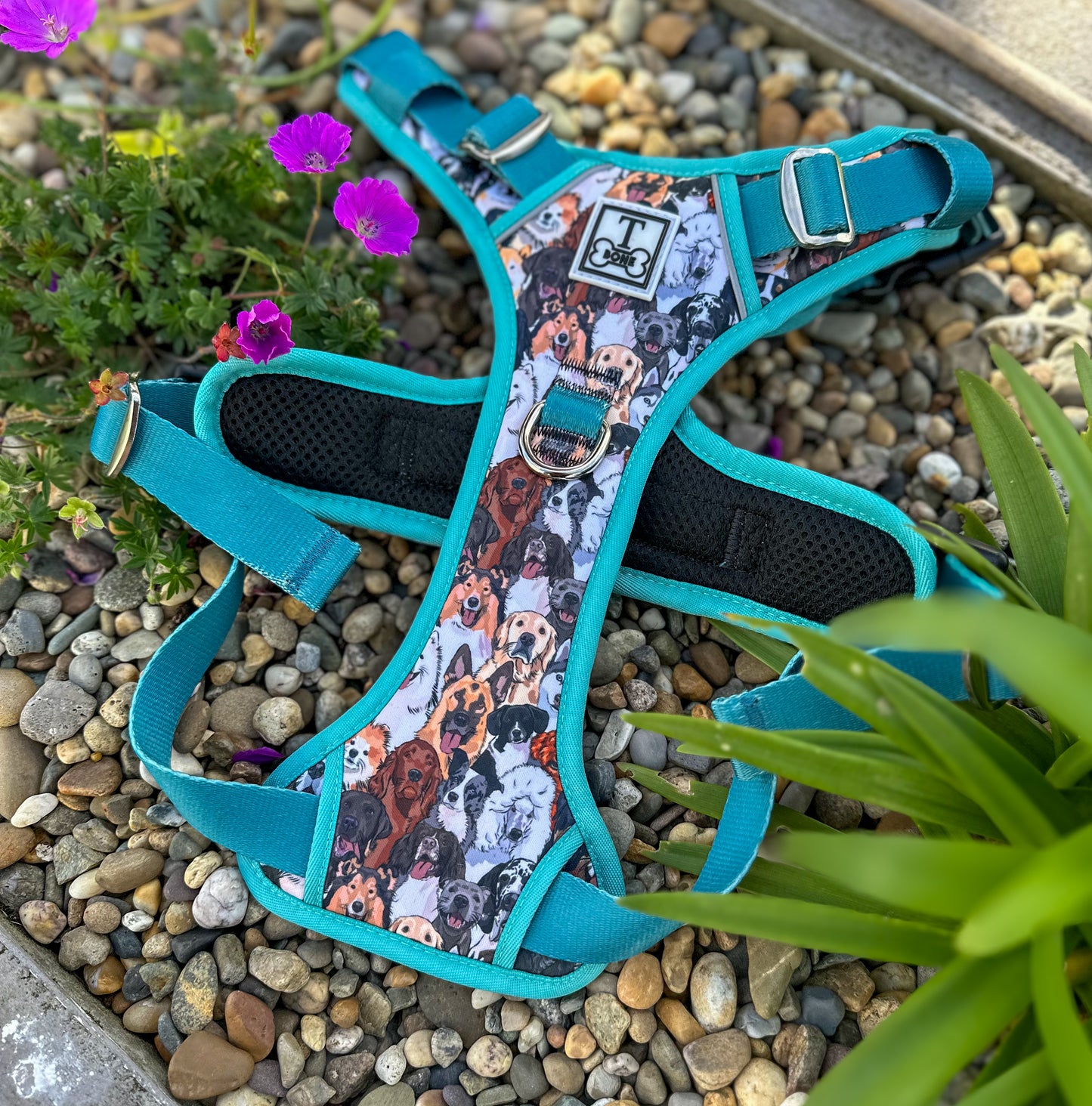 Part of the Pack Blue Tough Bone Harness