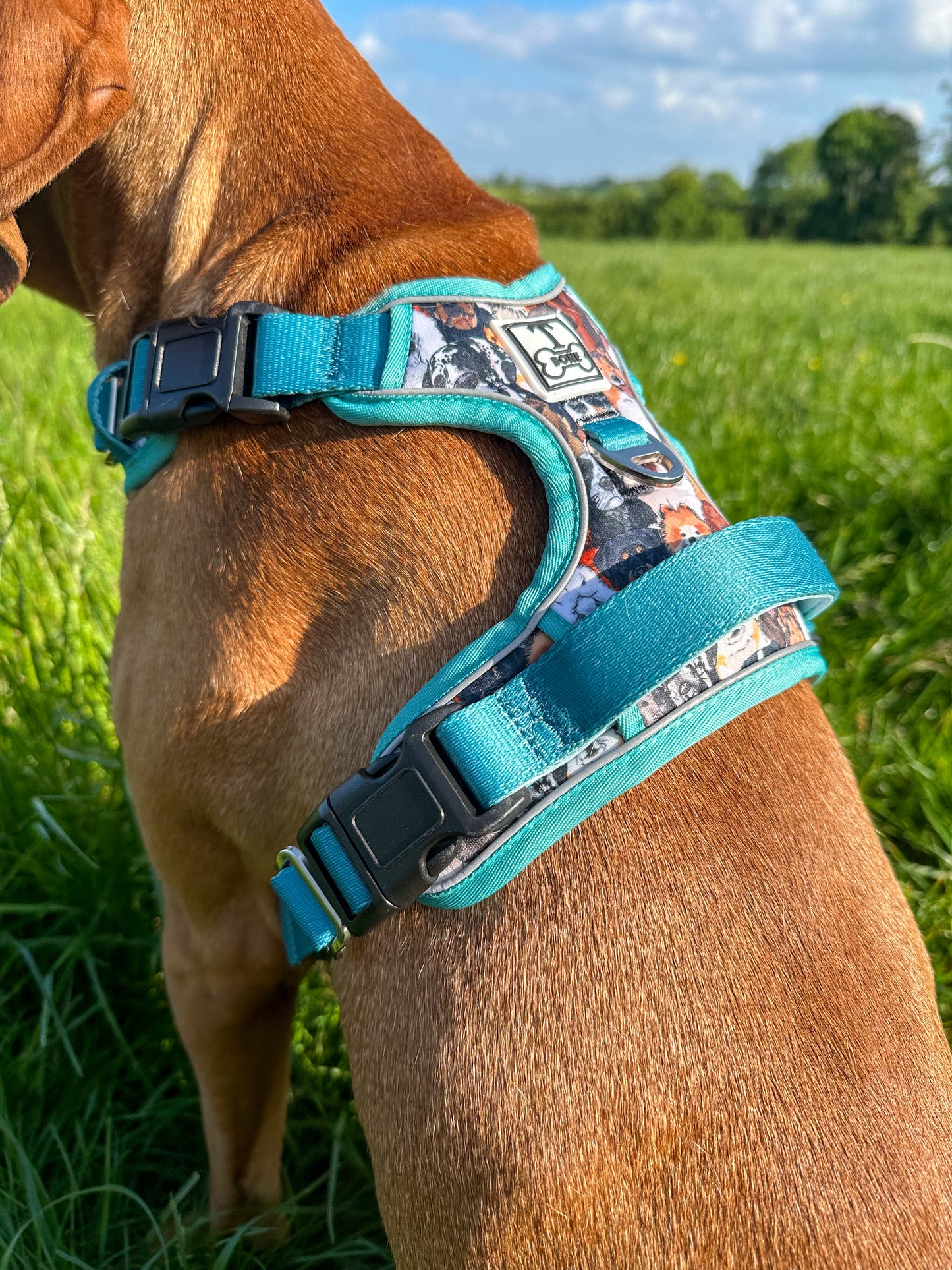 Part of the Pack Blue Tough Bone Harness