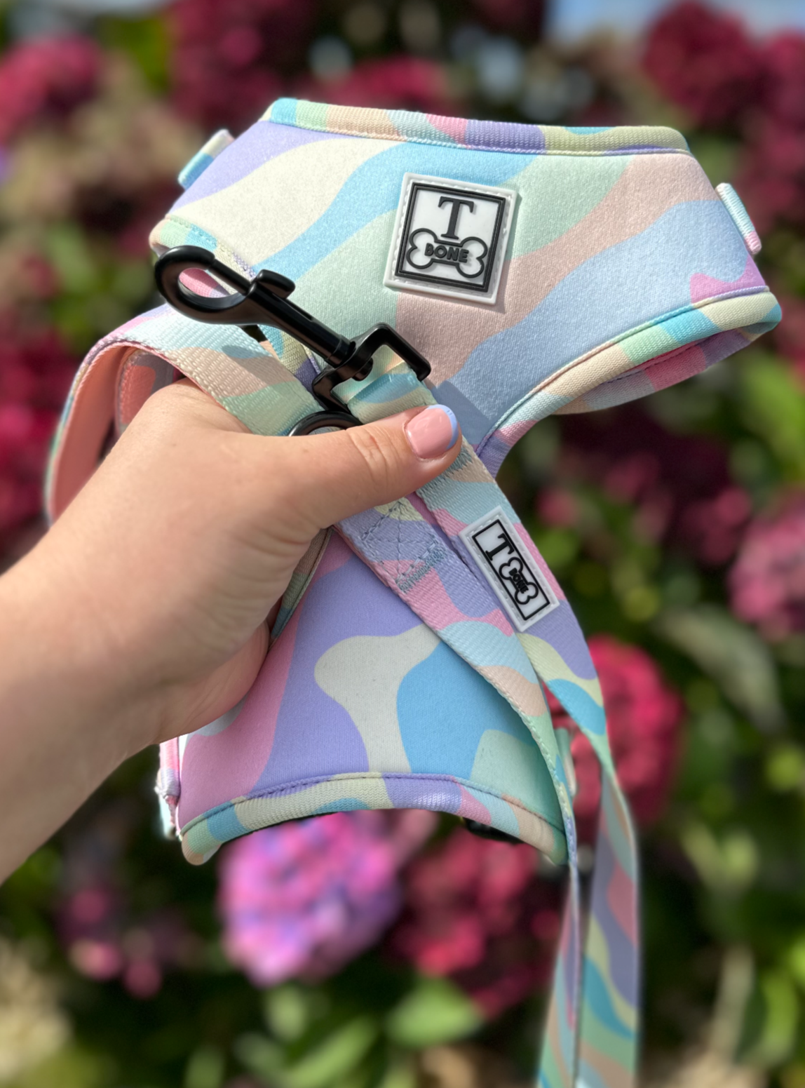 Candyfloss Adjustable Harness