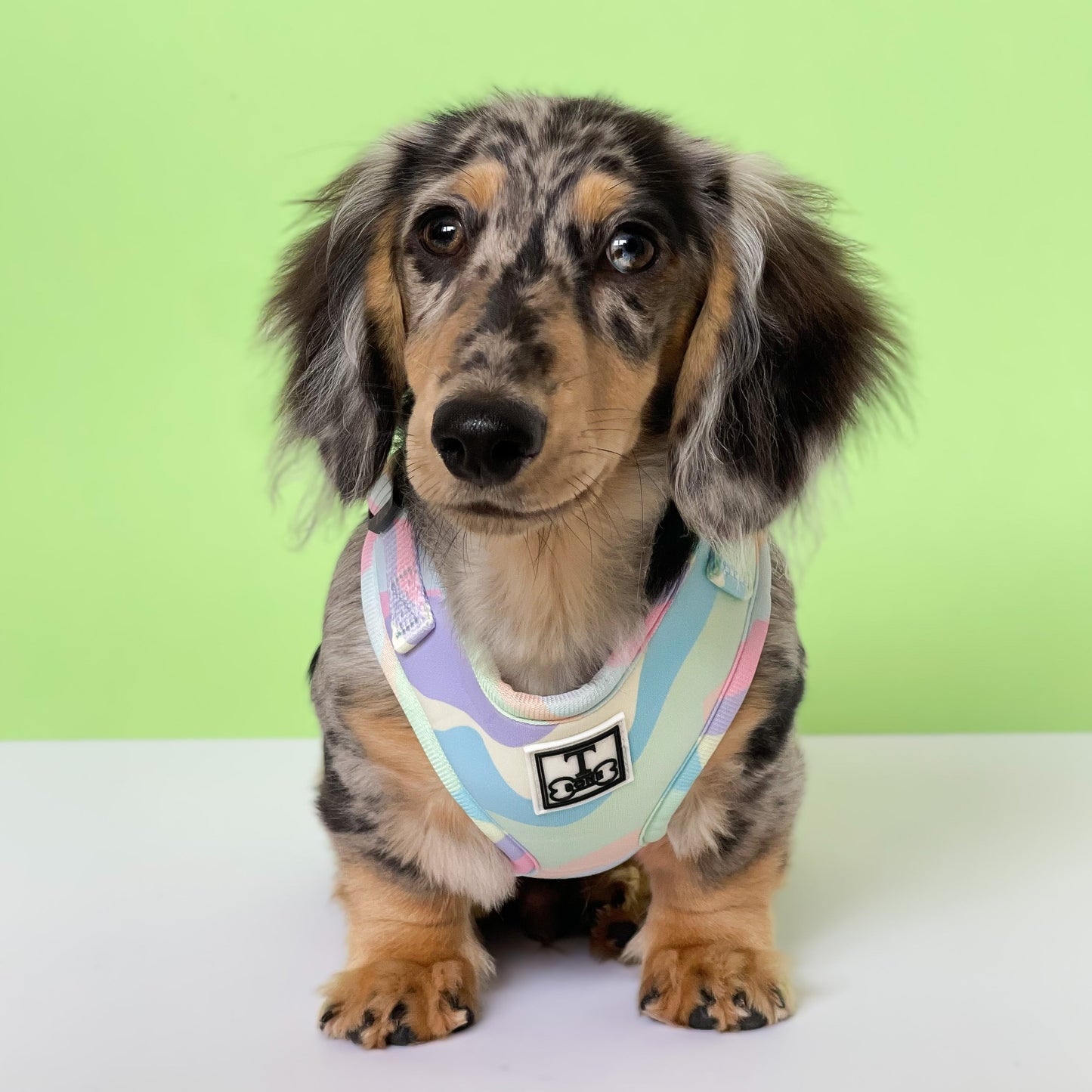 Candyfloss Adjustable Harness