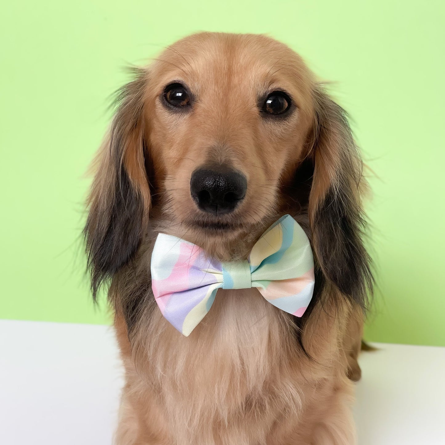 Candyfloss Bow