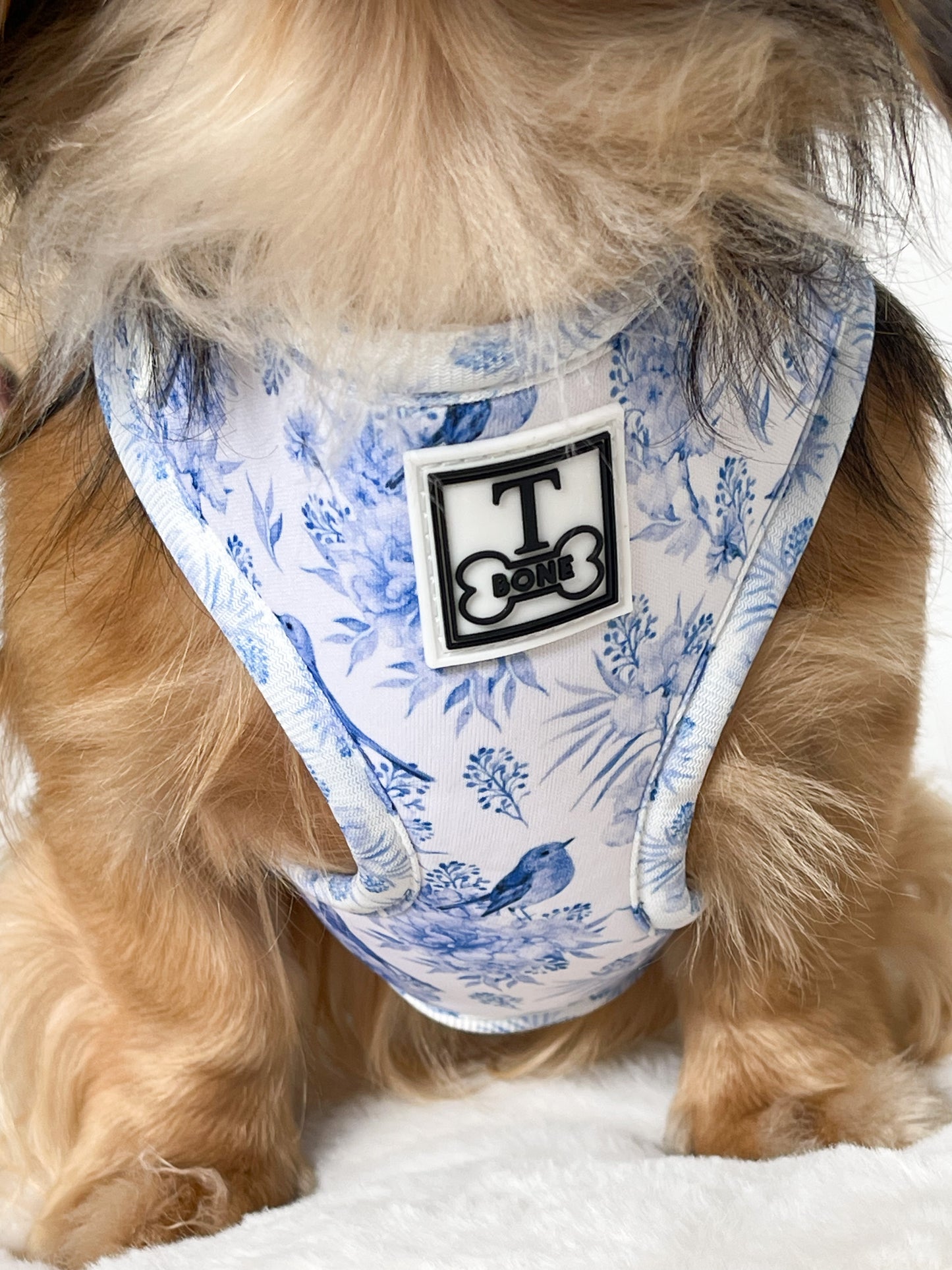 Afternoon Tea Adjustable Harness