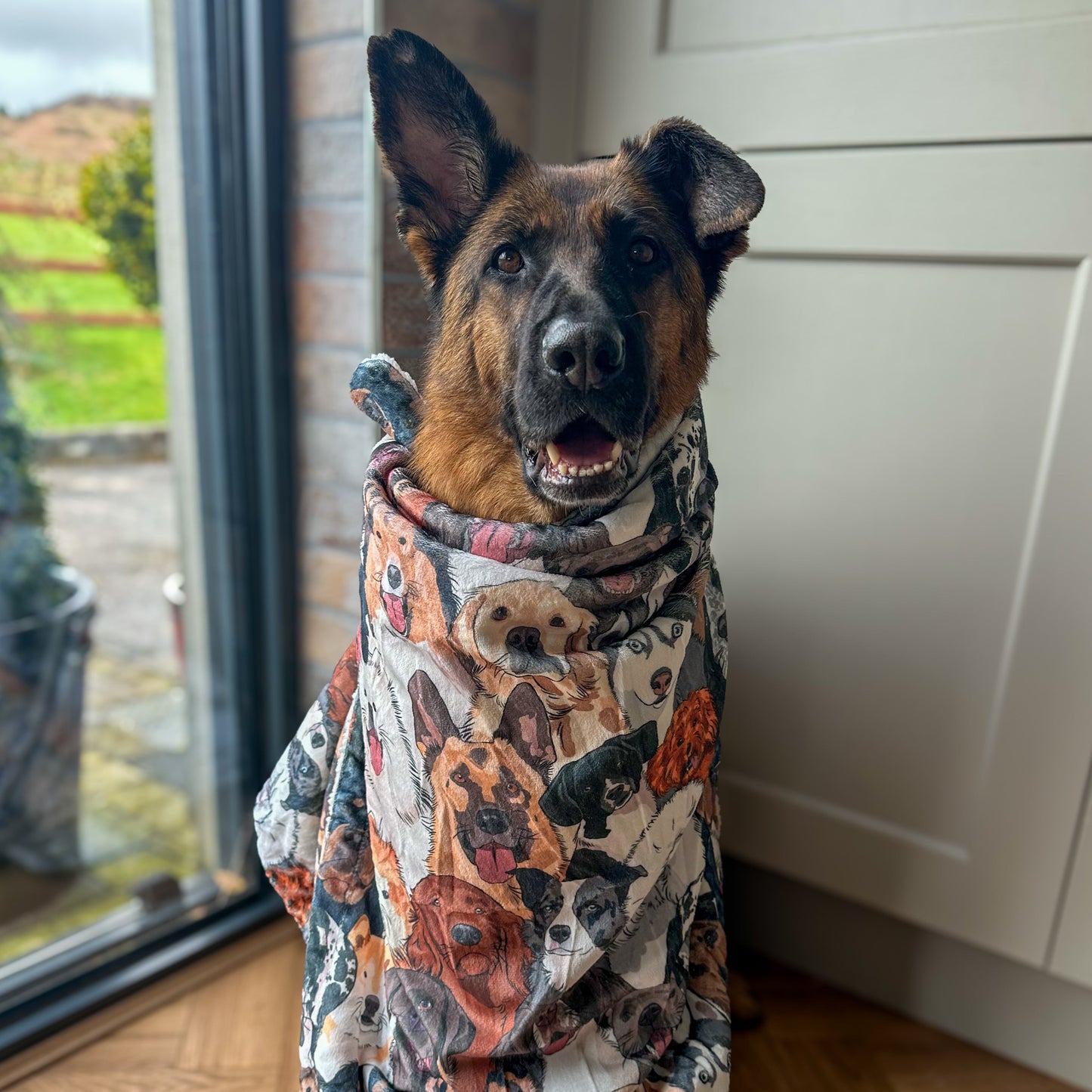 Part of the Pack Blanket