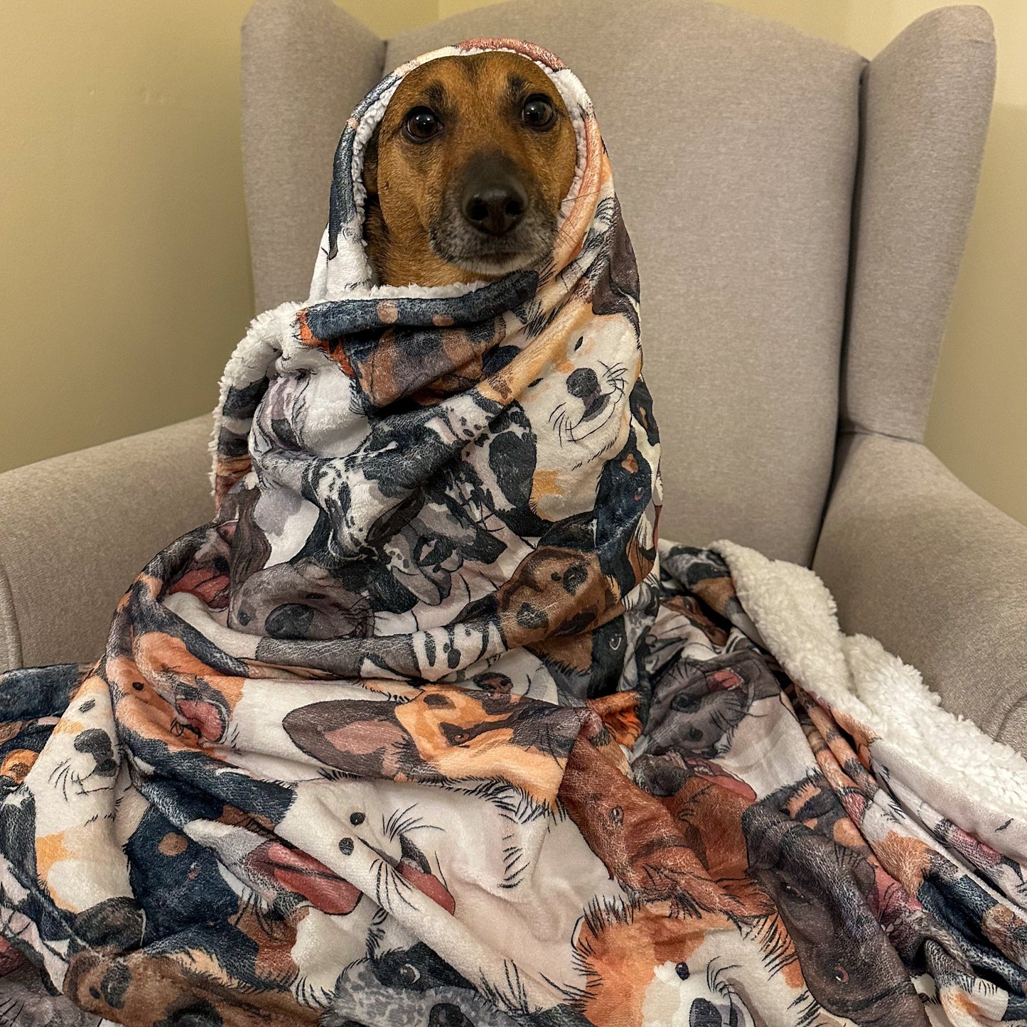 Part of the Pack Blanket