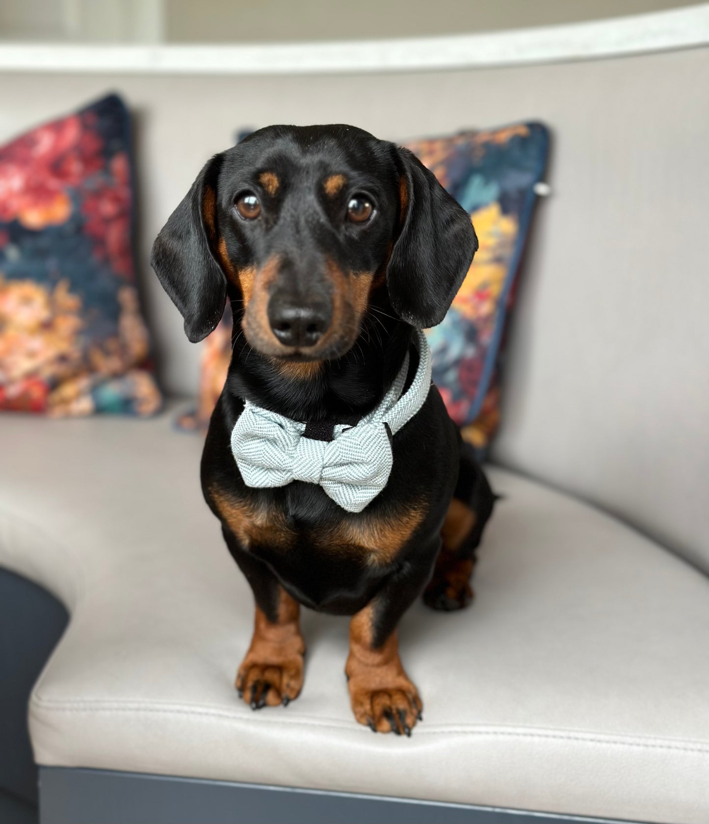 Sunday Best Bow