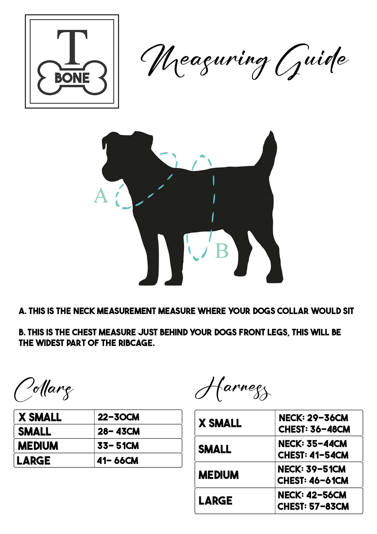 Berry Best Collar