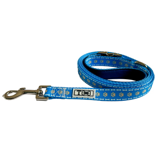 Made for Walkies Blue Lead