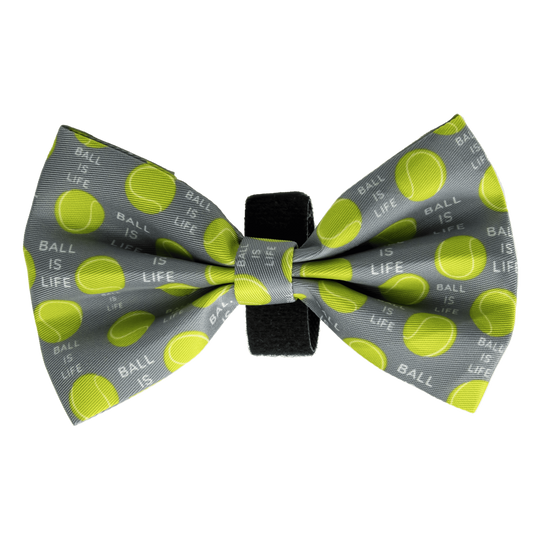 The Tommy Bow