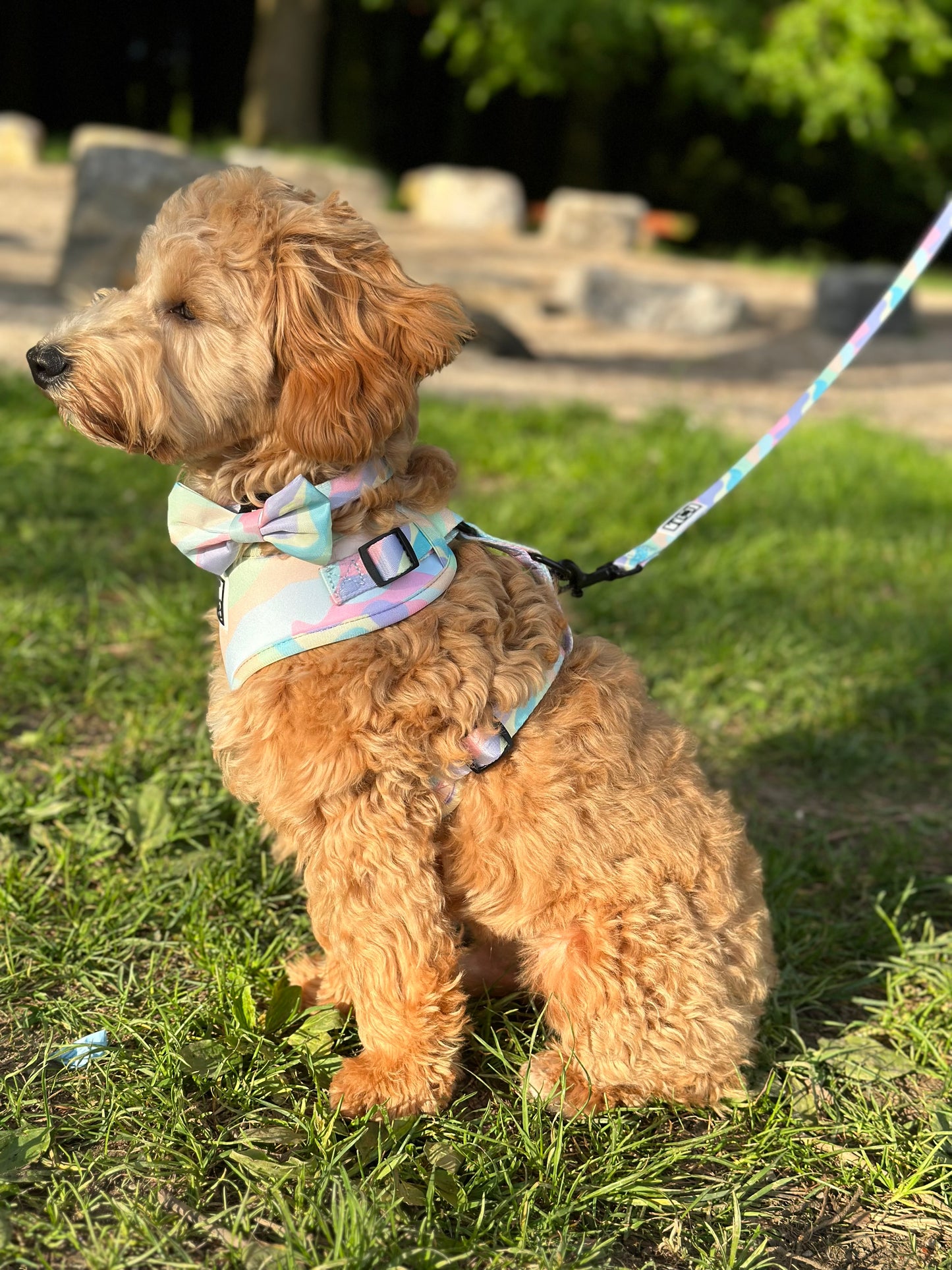 Candyfloss Collar